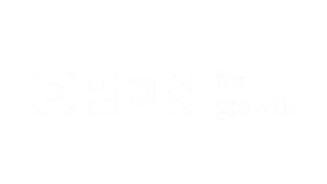 Home 25 OPEN-Digitalgruppe-Digitalagentur aus Wilhelmshöhe, Kassel